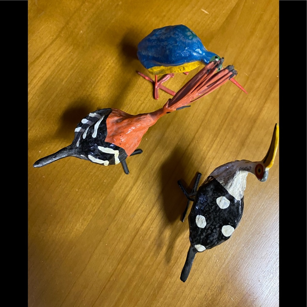 Unique Birds - Picture 2 of 3
